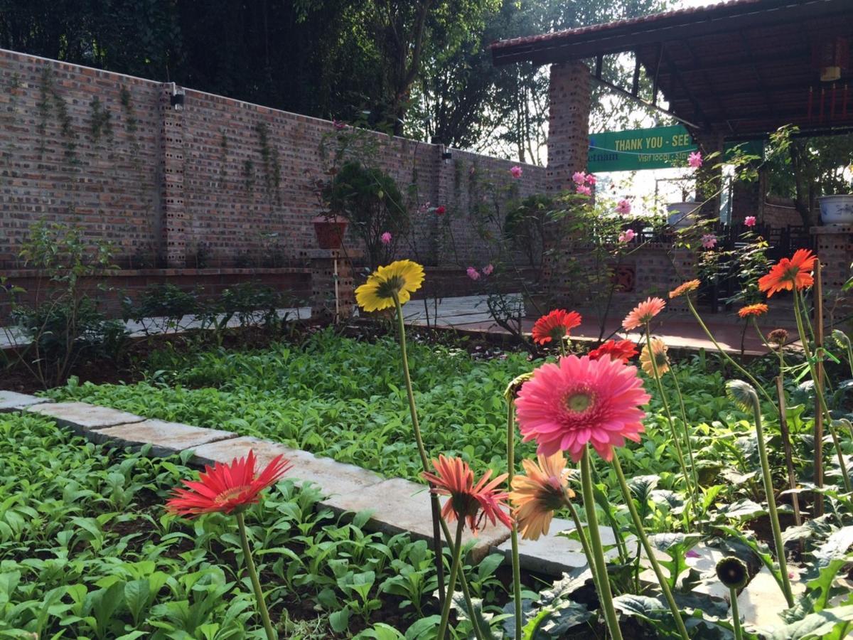 Tam Coc Craft Homestay نينه بينه الغرفة الصورة